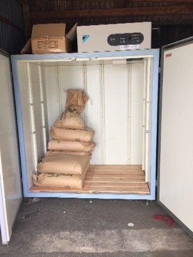 令和6年産キヌヒカリ 玄米 10kg 　減農薬