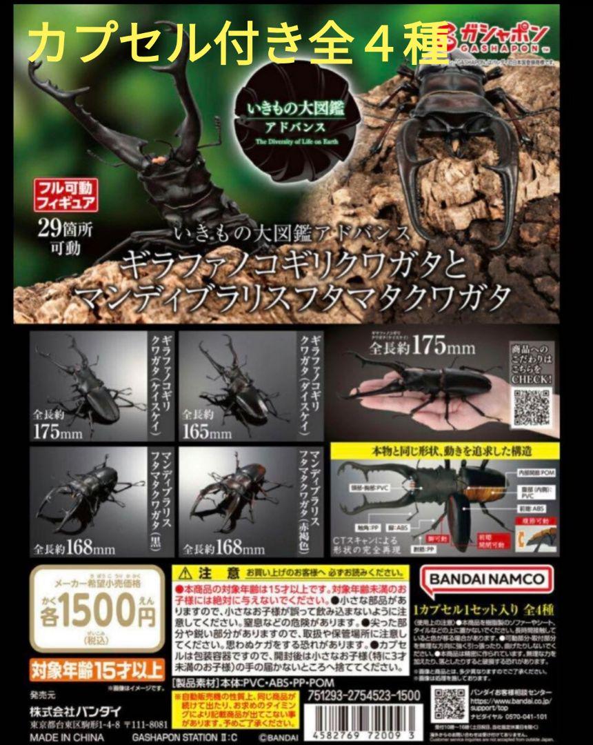 いきもの大図鑑アドバンス　ギラファノコギリクワガタ　カプセル版4種コンプセット