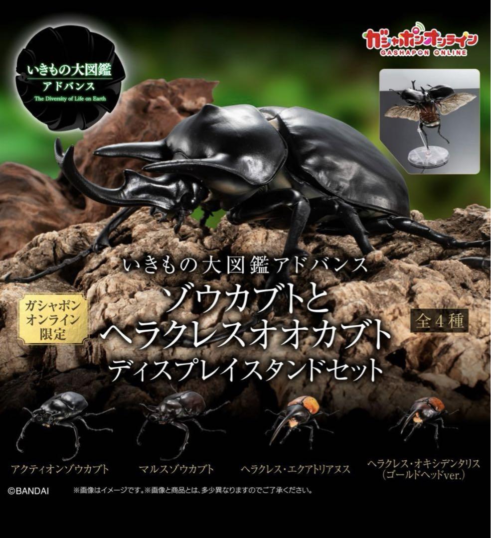 いきもの大図鑑アドバンス ゾウカブトとヘラクレスオオカブト