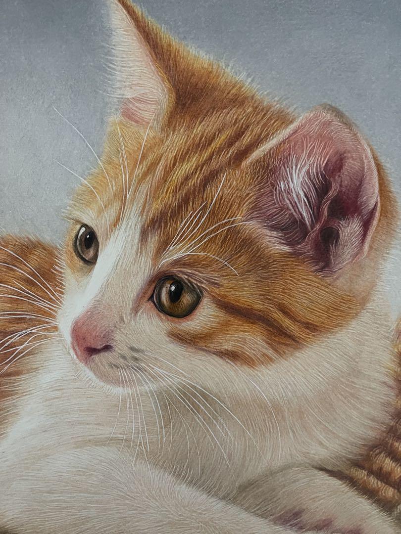 色鉛筆画A4 キジトラ69 色鉛筆画 A5キジトラ.16 - メルカリ