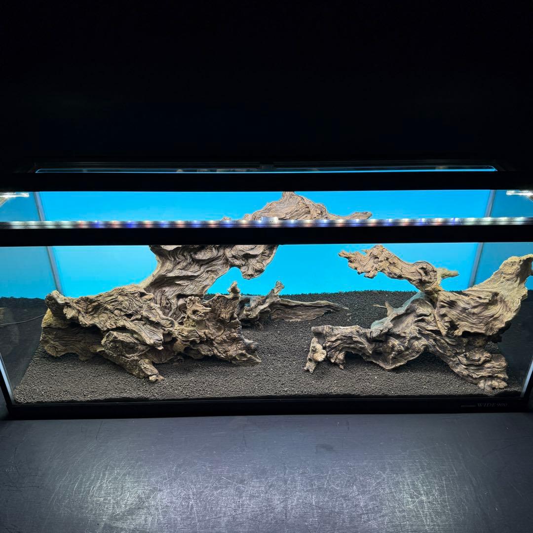 MJW-6796 「特大」ジンジャーウッド　90cm水槽用　天然流木2本セット