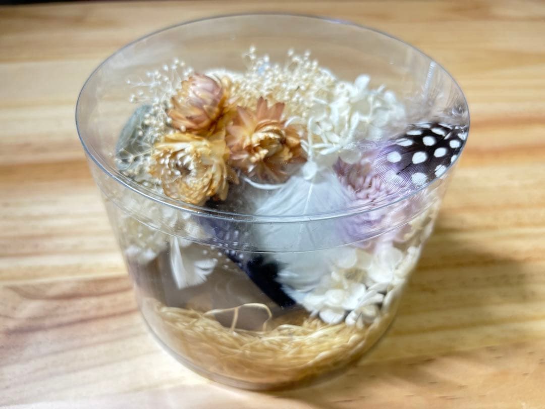 ◾️神楽座様製 羽根のウィッグ SD・DDサイズ