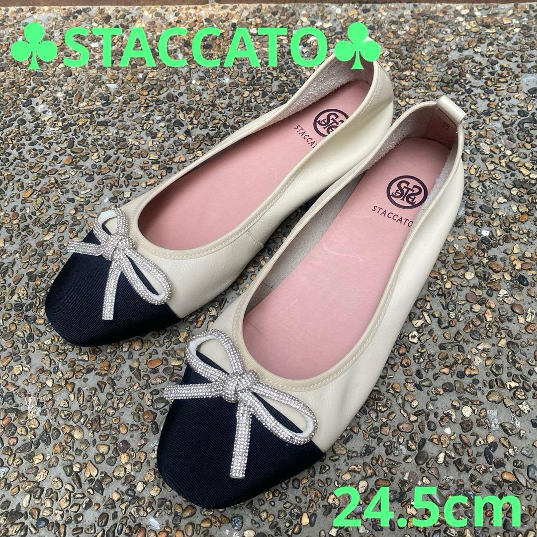 STACCATO 定番 エリーゼバレエシューズ24.5cm STACCATO