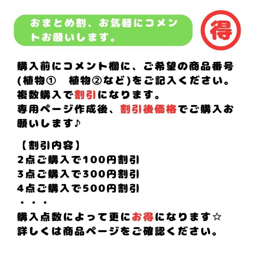 ウォールステッカー植物８壁紙シールおしゃれ北欧風部屋飾りDIYインテイリア人気