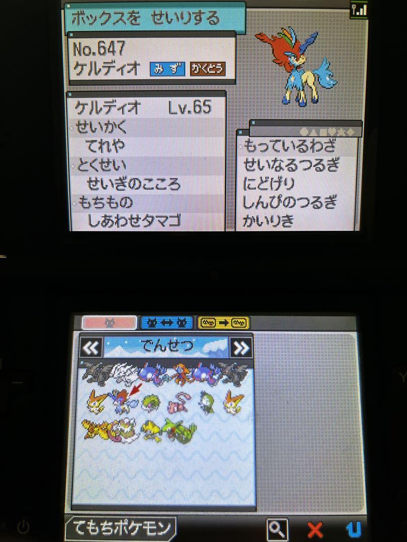ポケモン　ポケットモンスター ブラック2 ホワイト　DS