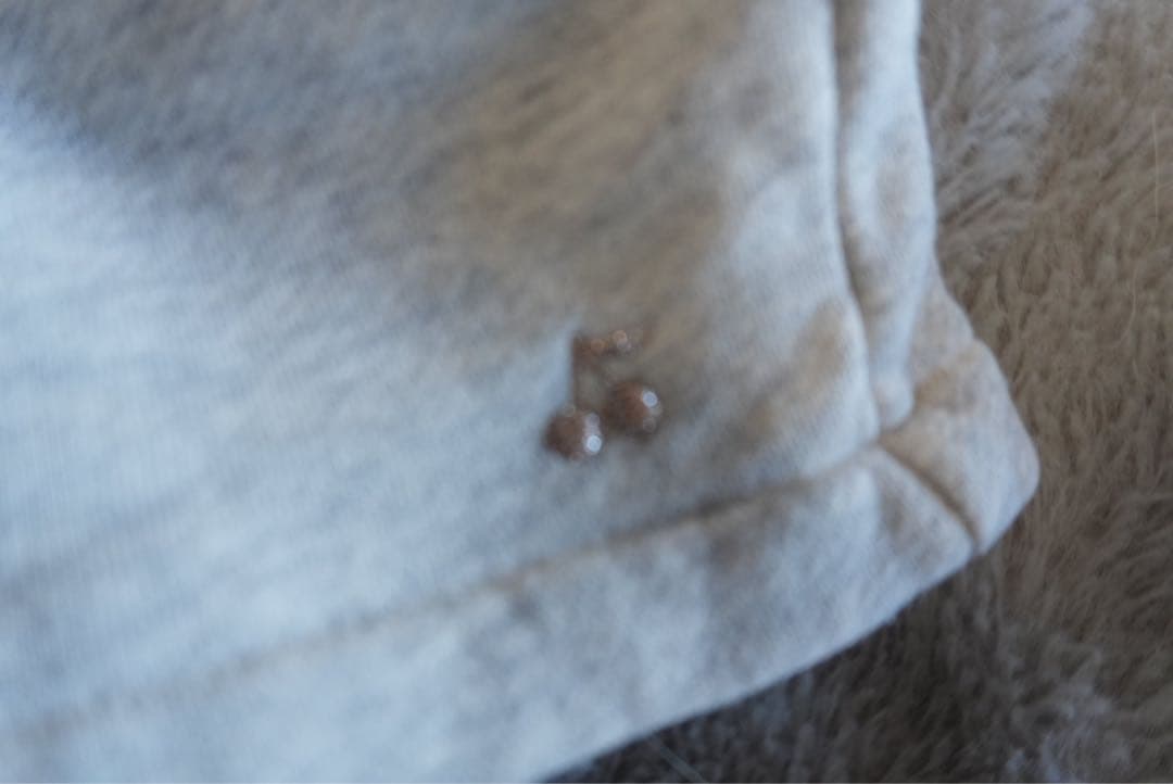 セットアップ120cm Bonpoint