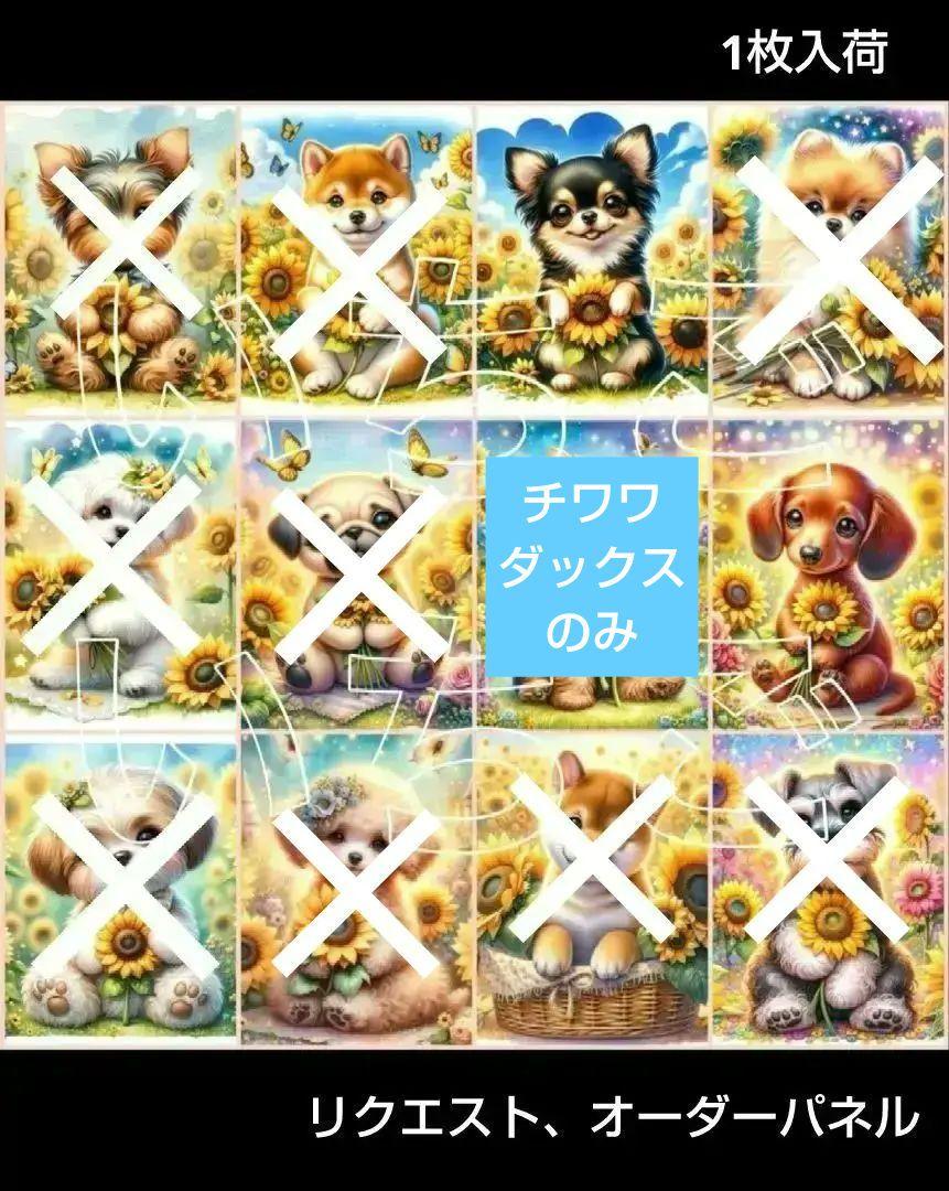 リクエスト、オーダーパネル 向日葵犬 ヨーキー 柴犬 ポメ プードル