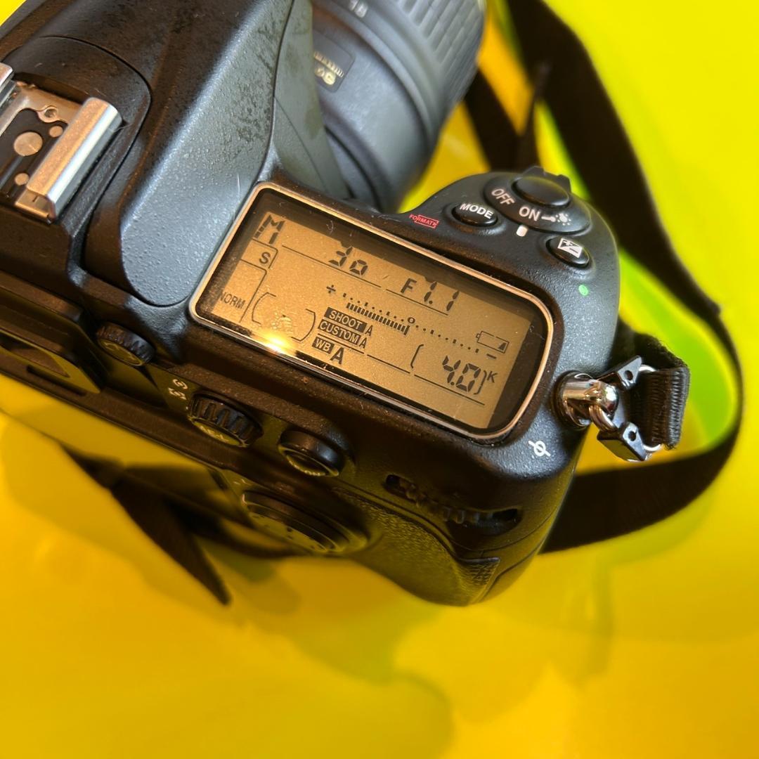 Nikon D300 本体セット 18-55mm f/3.5-5.6G Nikon D300 本体セット 18-55mm f/3.5-5.6G