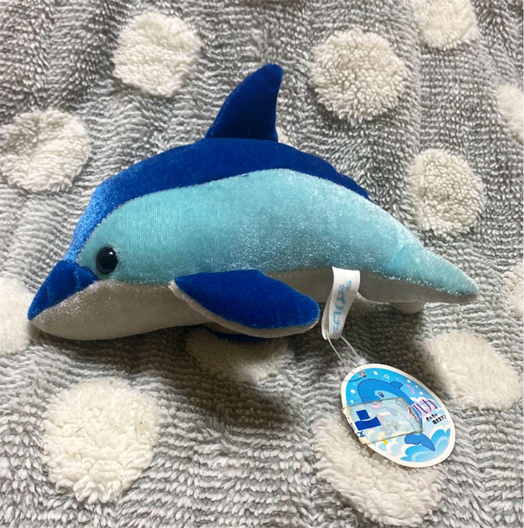 お腹を押すと鳴くイルカ ぬいぐるみマスコット 水族館 - メルカリ