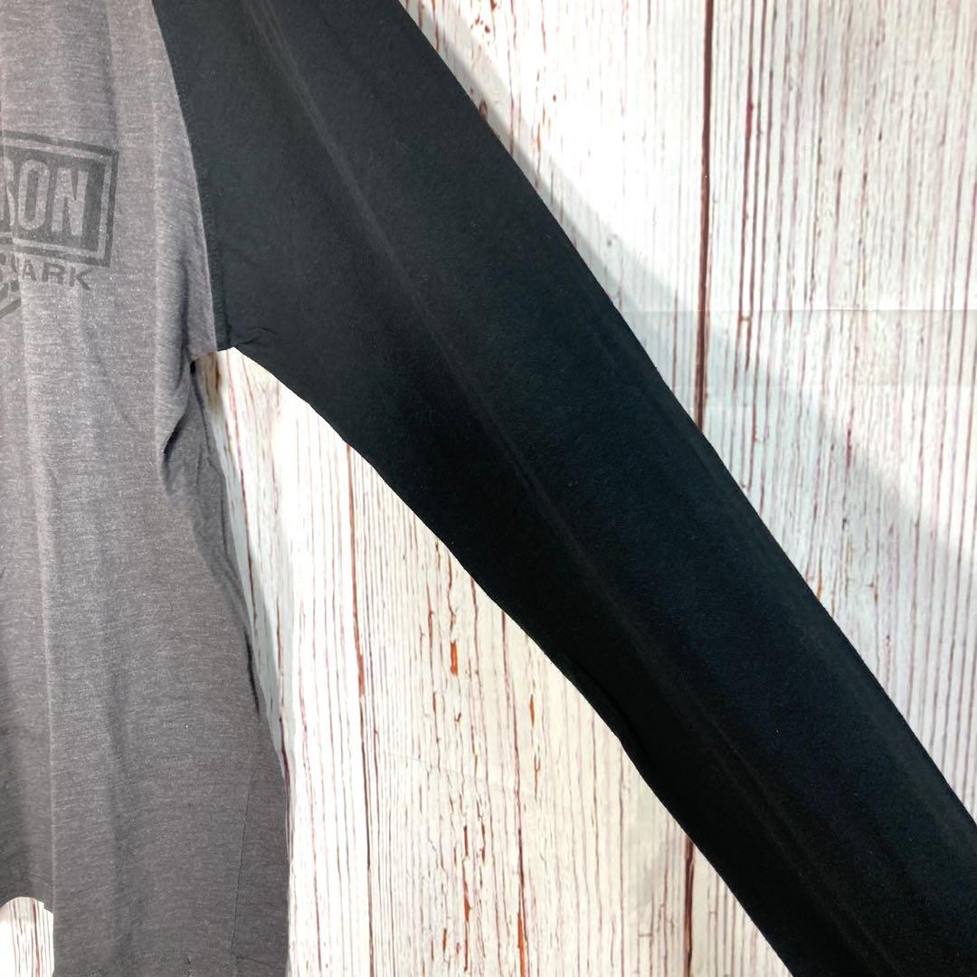 【人気】ハーレーダビッドソン　長袖カットソー　Tシャツ　ロンT ビッグロゴ　黒