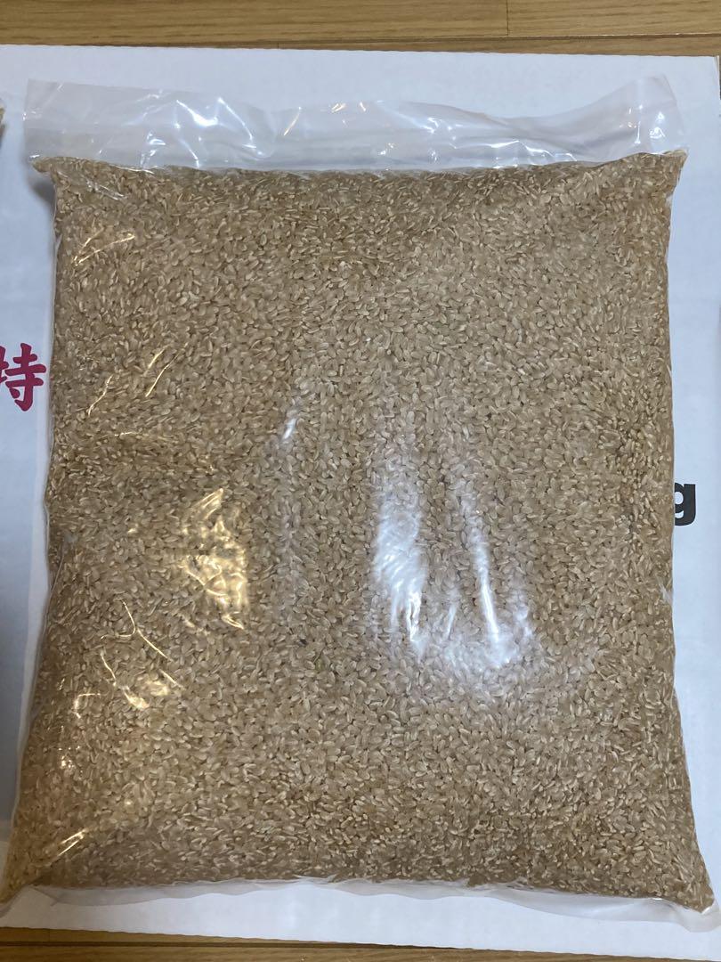 特別栽培米　あいちのかおり　玄米　10kg (5kg × 2袋)