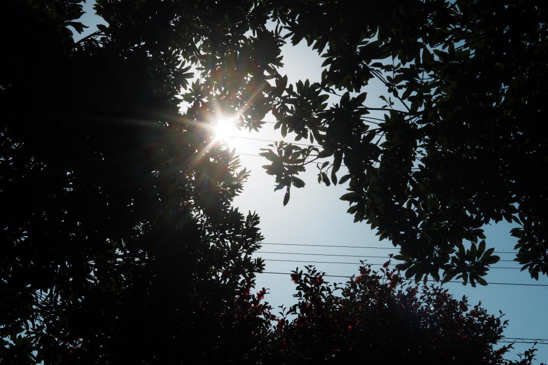 60mm F2.8