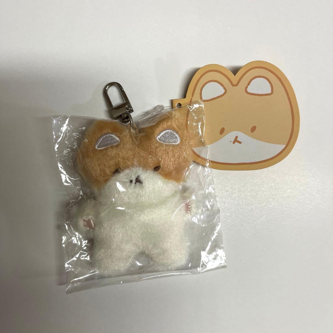 EXO ベッキョン トレギ フラットキーリング - メルカリ