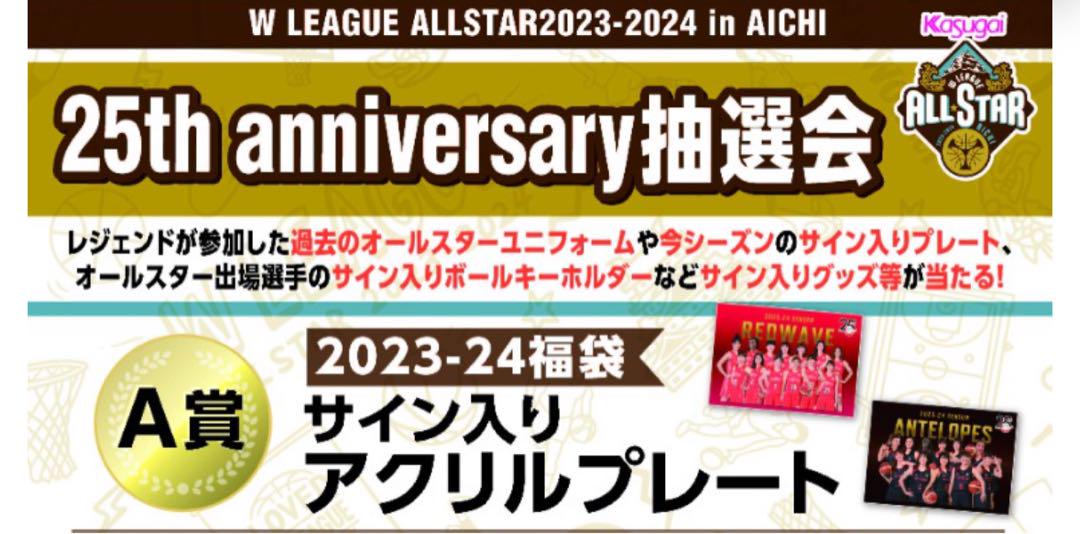 Wリーグ　アクリルプレート　日立ハイテククーガーズ