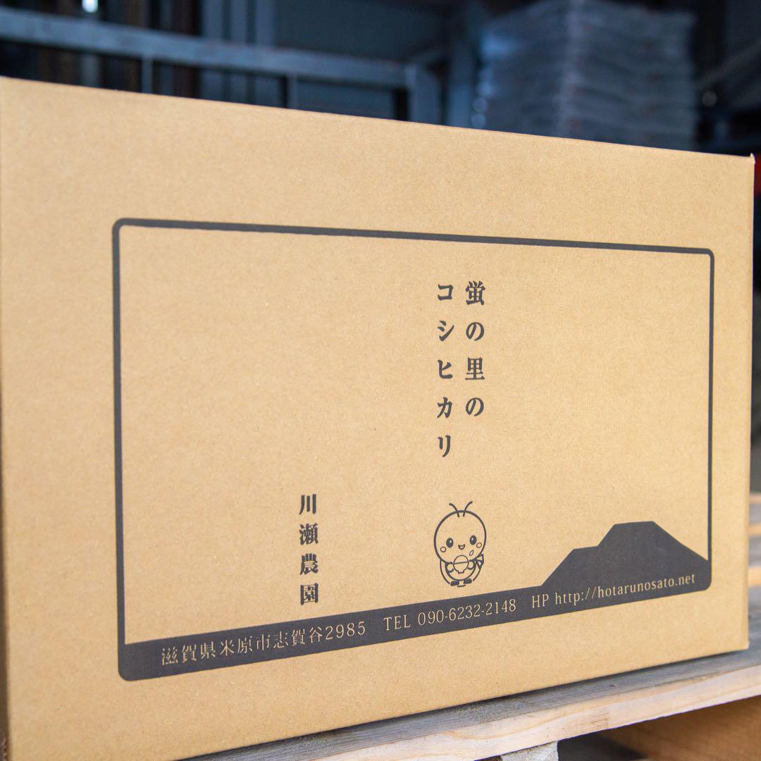 【新米コシヒカリ】30キロ 玄米　令和6年産　送料無料