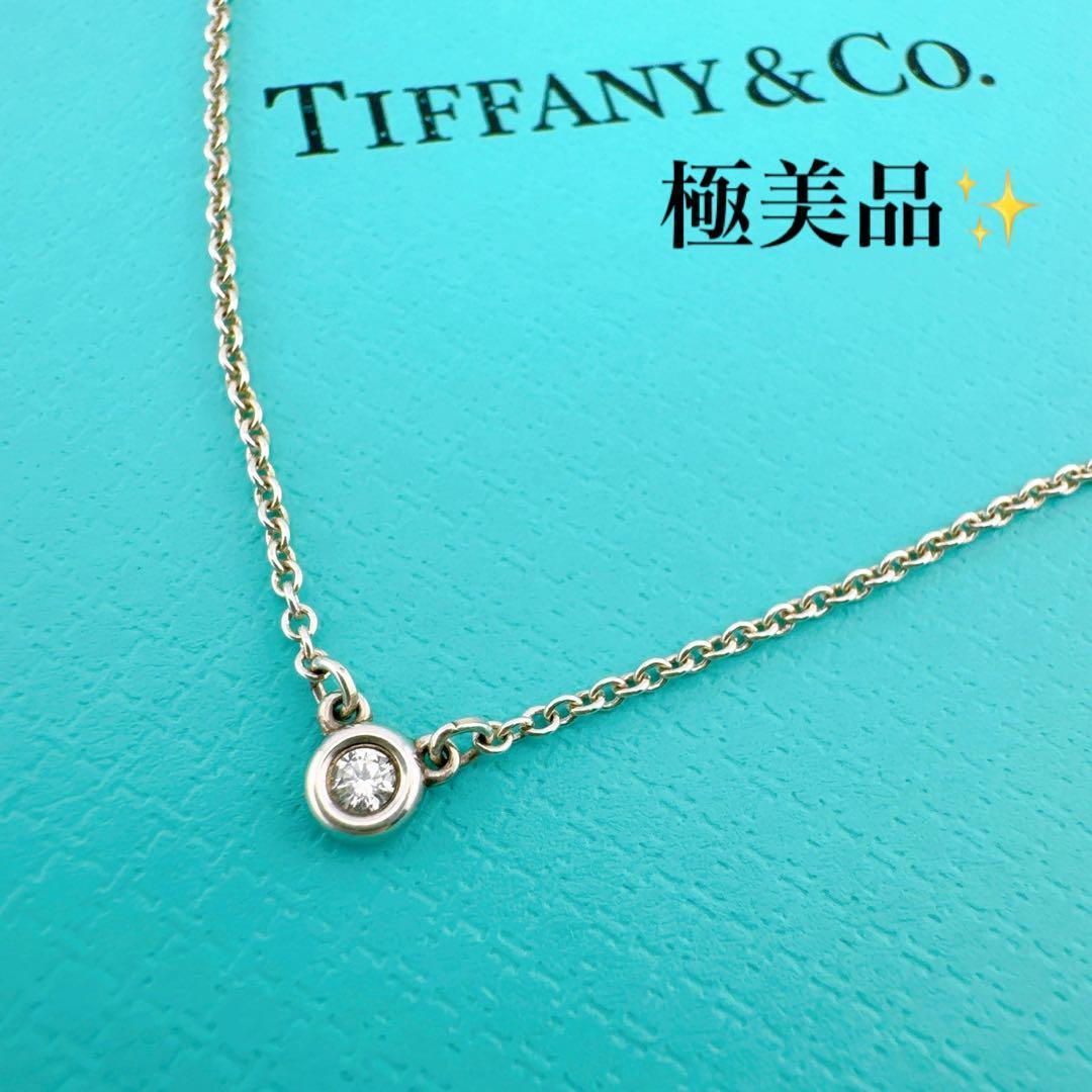 chicken様　極美品✨️　ティファニー　ネックレス　バイザヤード約0.1ct 箱付き極美品◇ティファニー 925 バイザヤード ダイヤモンド 1P