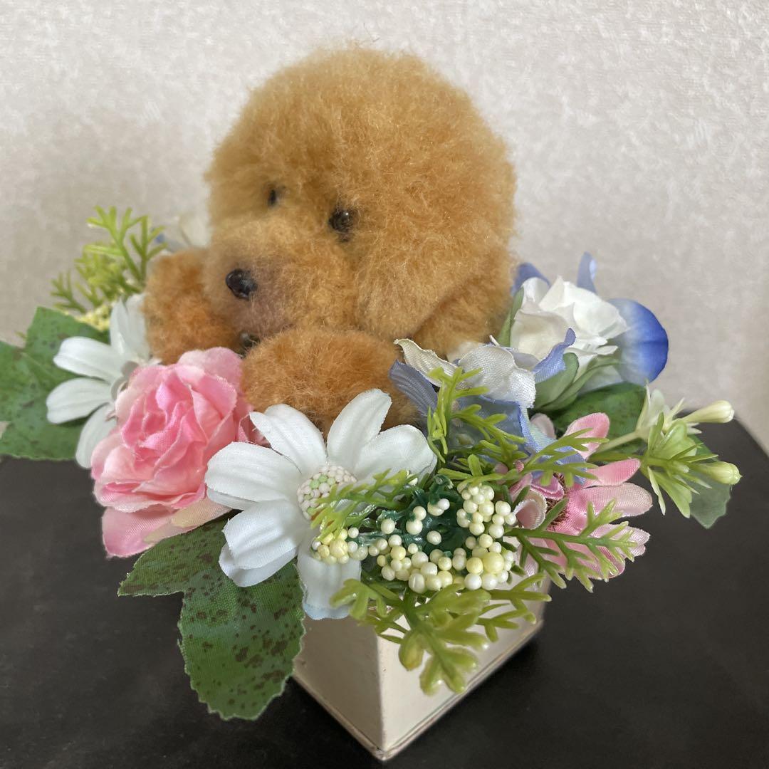 動物ぽんぽん　くぅ