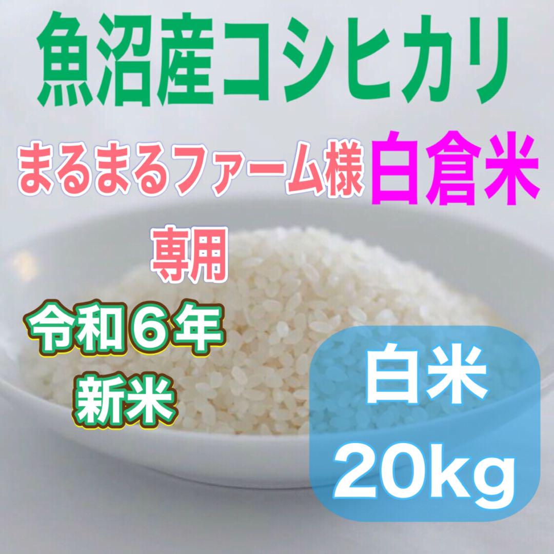 〘 魚沼産コシヒカリ白米20kg〙 令和6年産 湧き水栽培白倉米