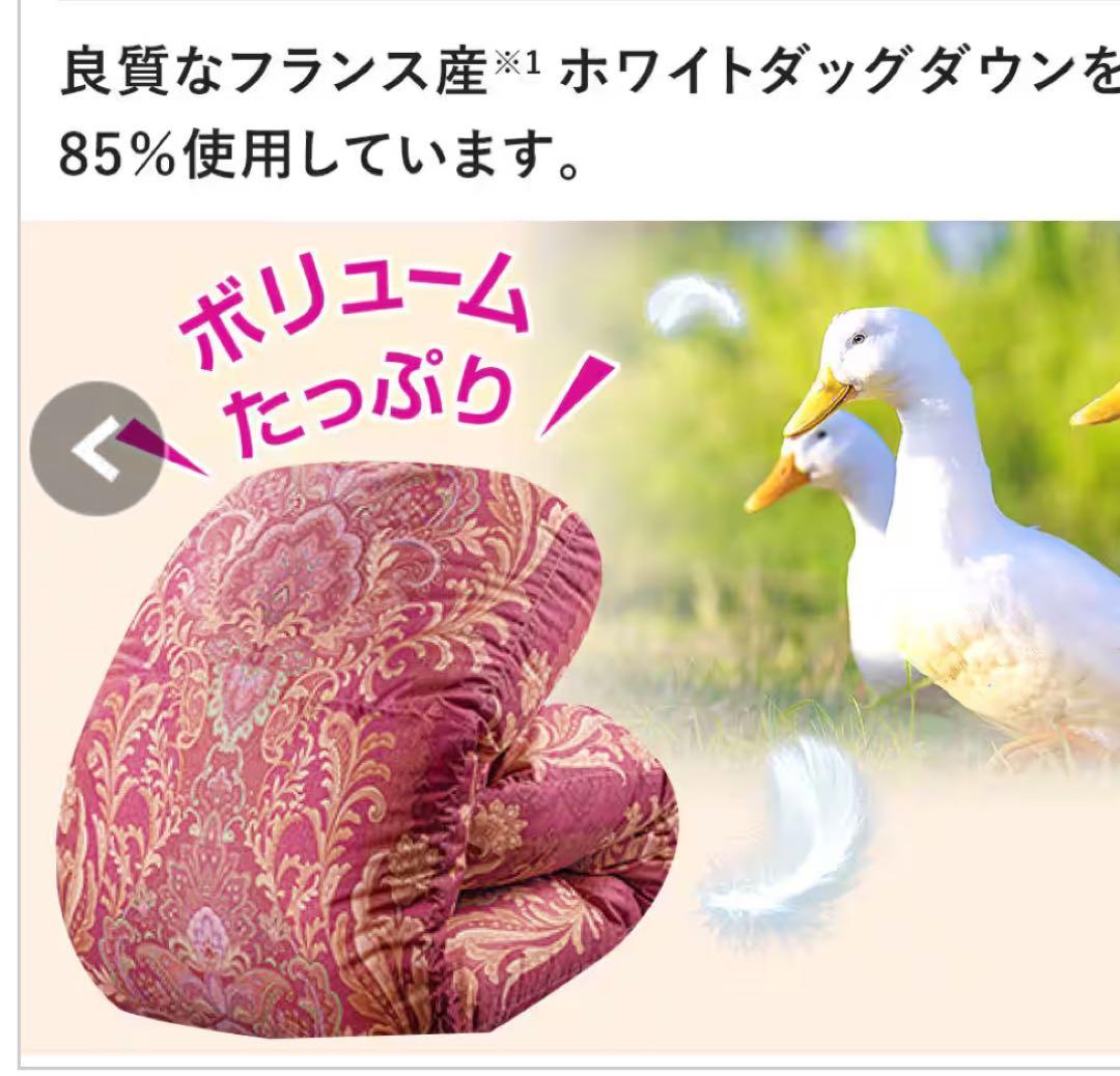 モリリン　フランス産ダウン羽毛布団　シングル　ワインレッド　JEF800SH モリリン フランス産ダウン羽毛布団 シングル ワインレッド