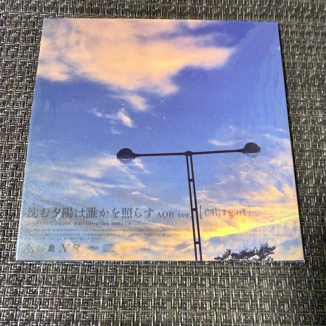 沈む夕陽は誰かを照らす AOR ver. 17補足版 cali≠gari cali≠gari 17 補足版 沈む夕陽は誰かを照らす AOR ver