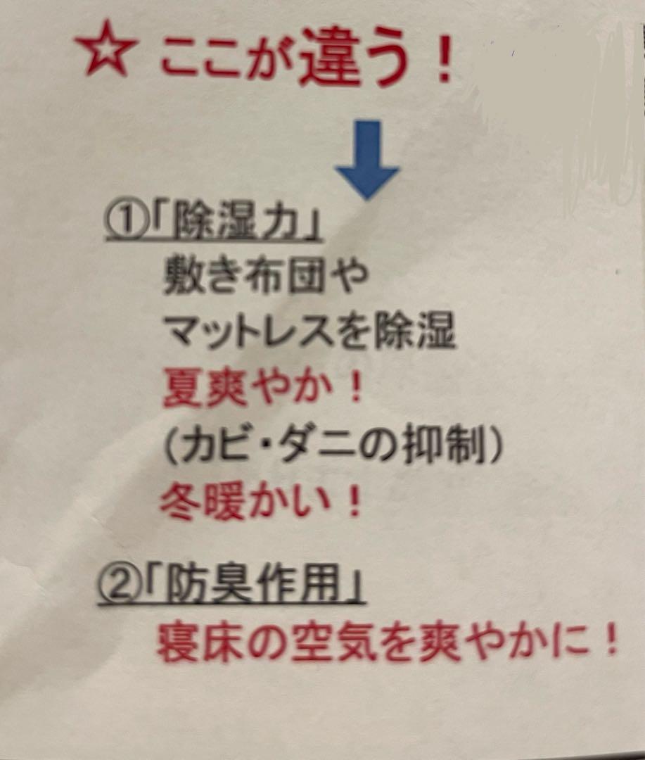 国産スギ