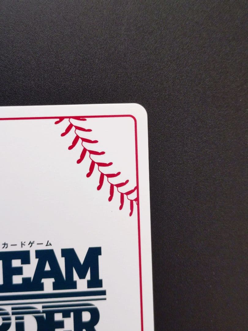 ドリームオーダー SEC