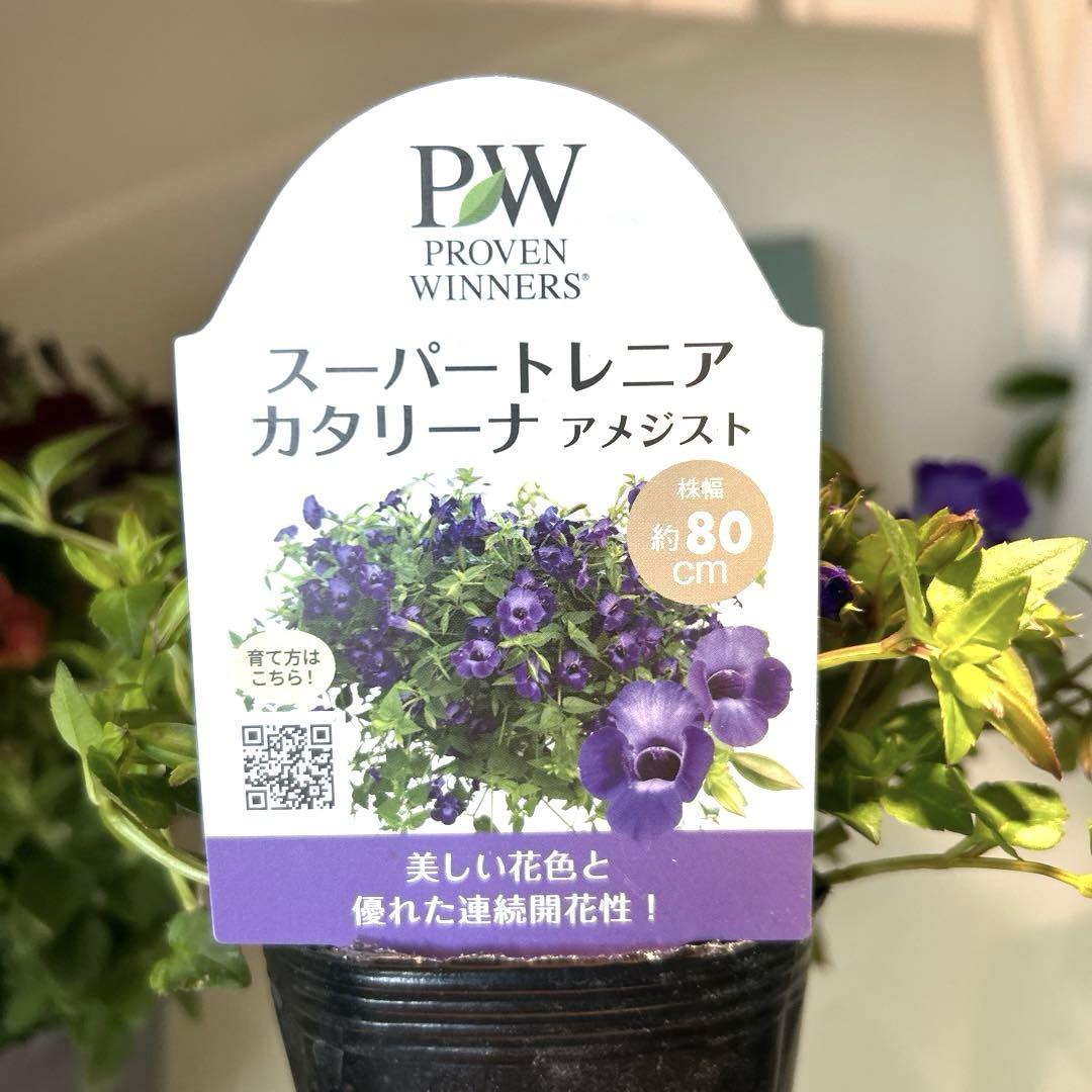 tami様　確認用