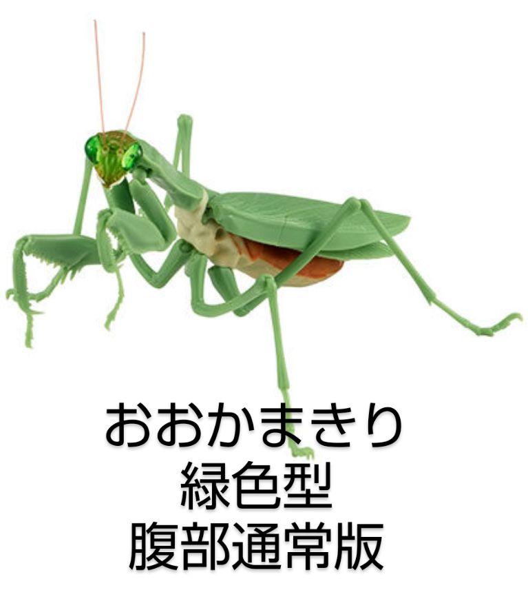 いきもの大図鑑 かまきり01 全５種類 新品 大きいリアルフィギュア ガチャ Amazon | いきもの大図鑑 かまきり01 全5種類 オオカマキリ