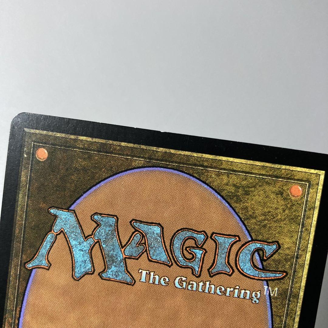 MTG TSP 天使の嗜み 日本語 FOIL 1枚