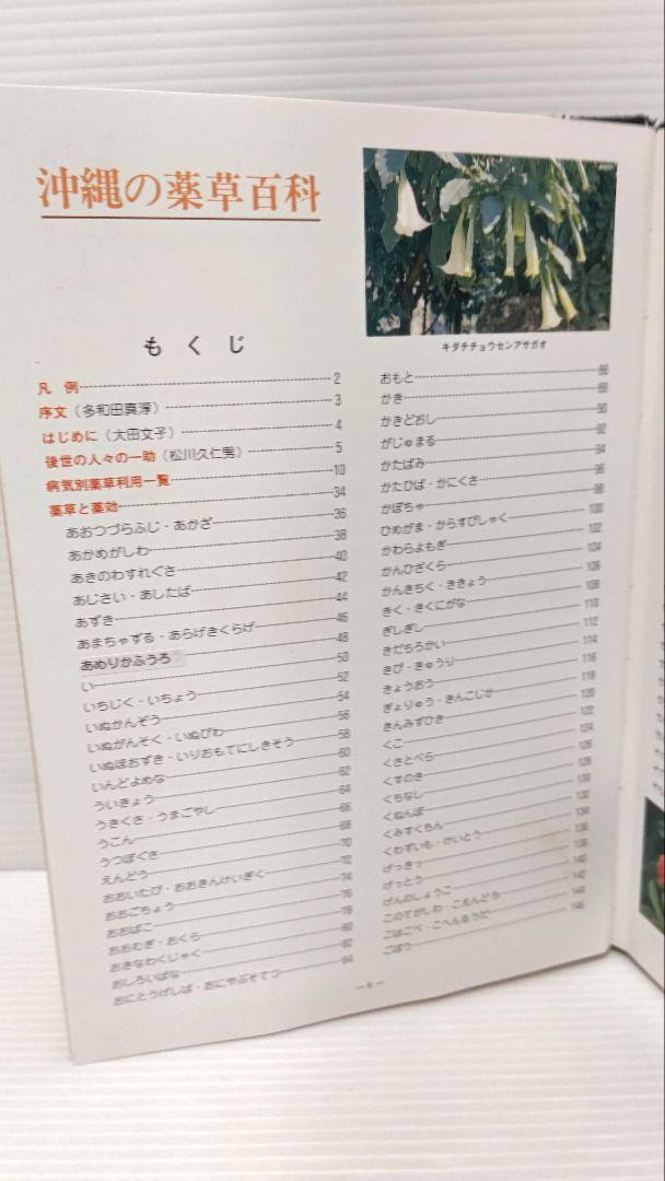 沖縄の薬草百科 やさしい煎じ方と飲み方