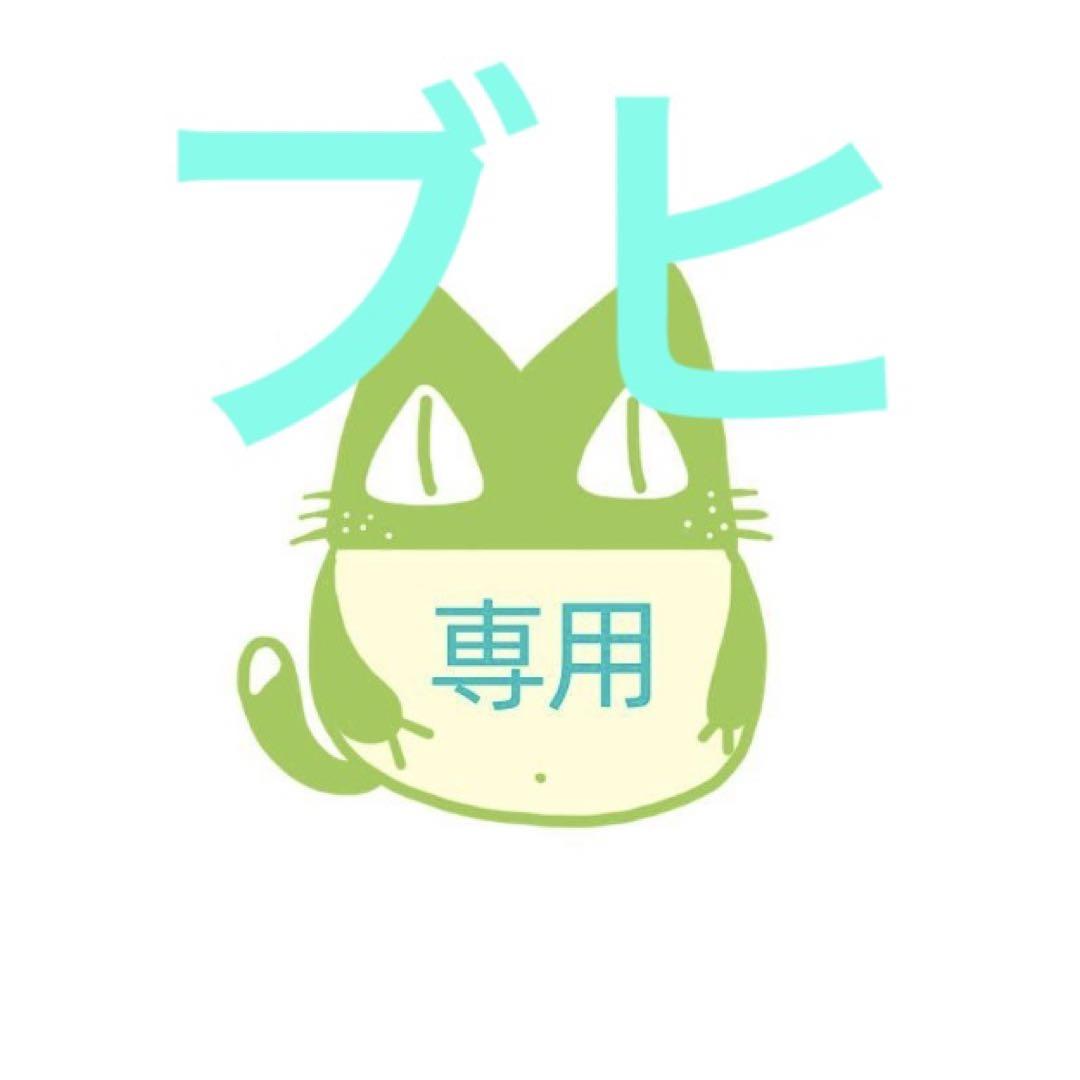 ブヒ樣 専用ページその他