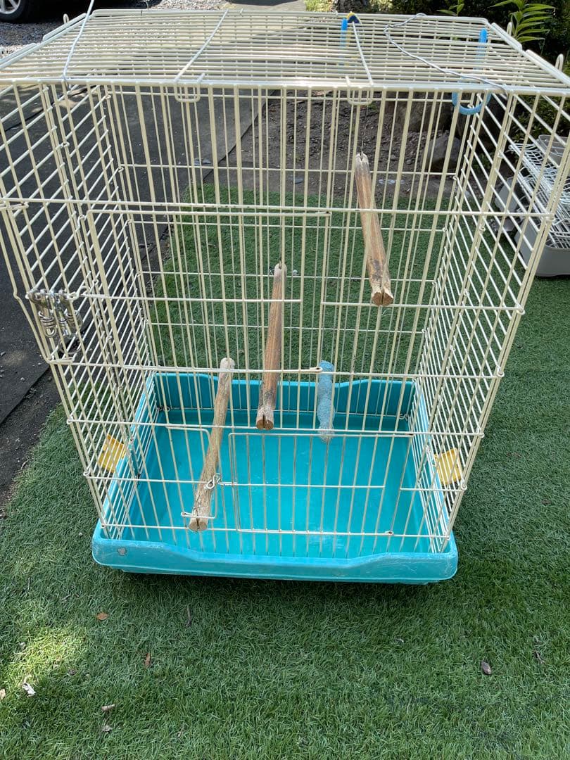 鳥カゴ 大型オウムなど用 木製止まり木付き目立った傷や汚れなし