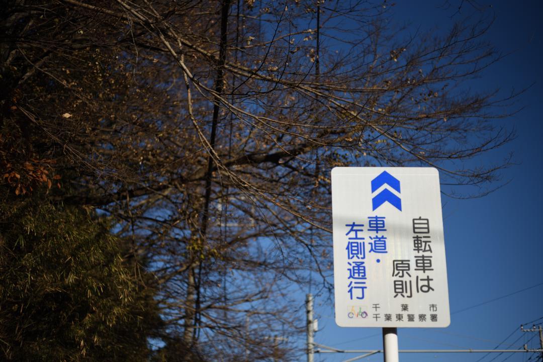 ツァイス　マクロ・プラナーMakro Planar T* 2/50ｍｍ ZF.2