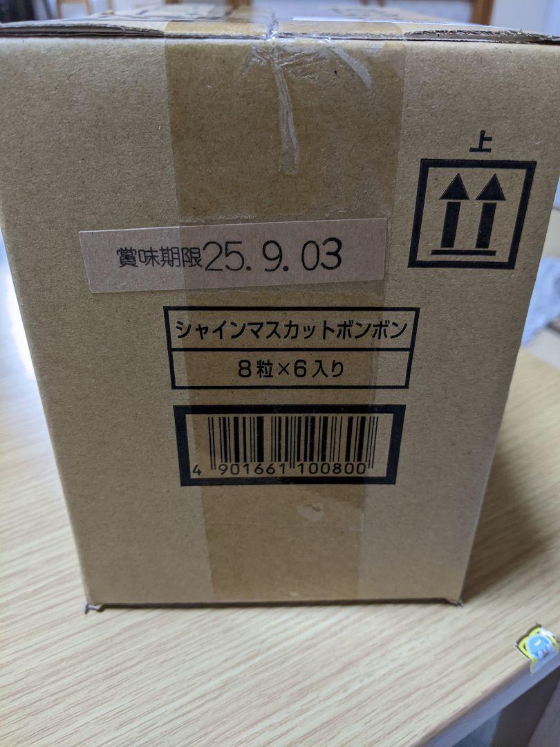 シャインマスカットボンボン 8粒 x 6入り　八雲製菓　ファミリーマート