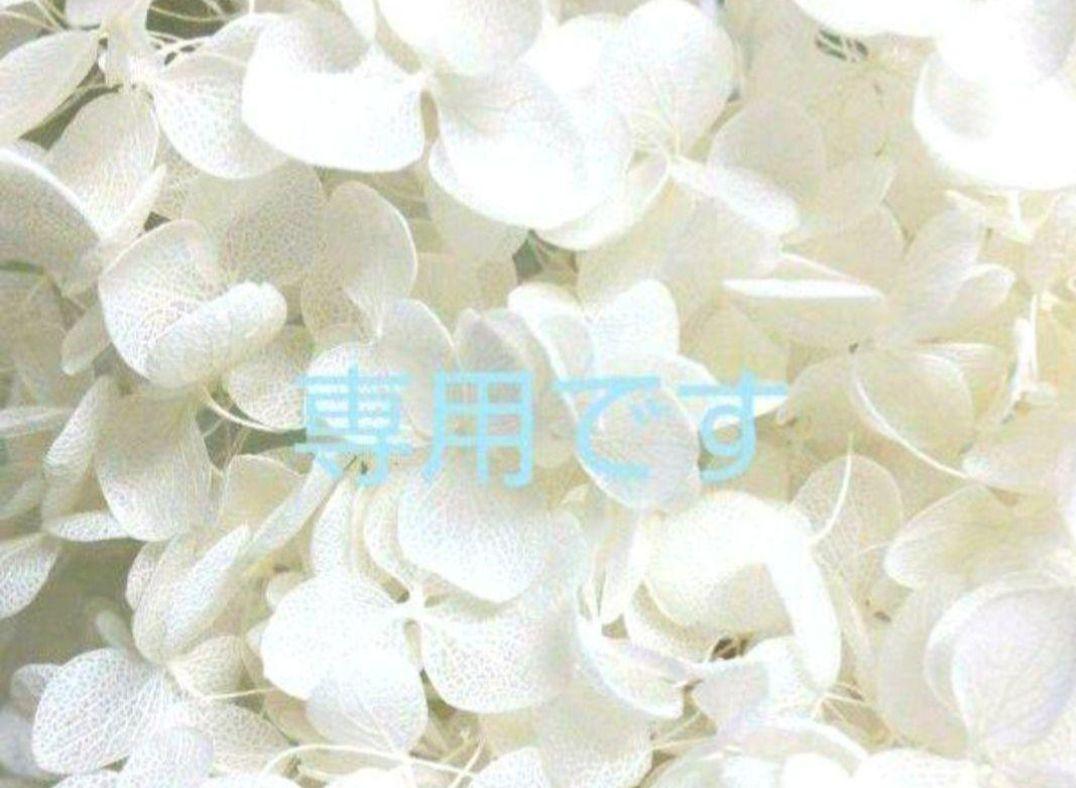 yoshikono2019様専用♪