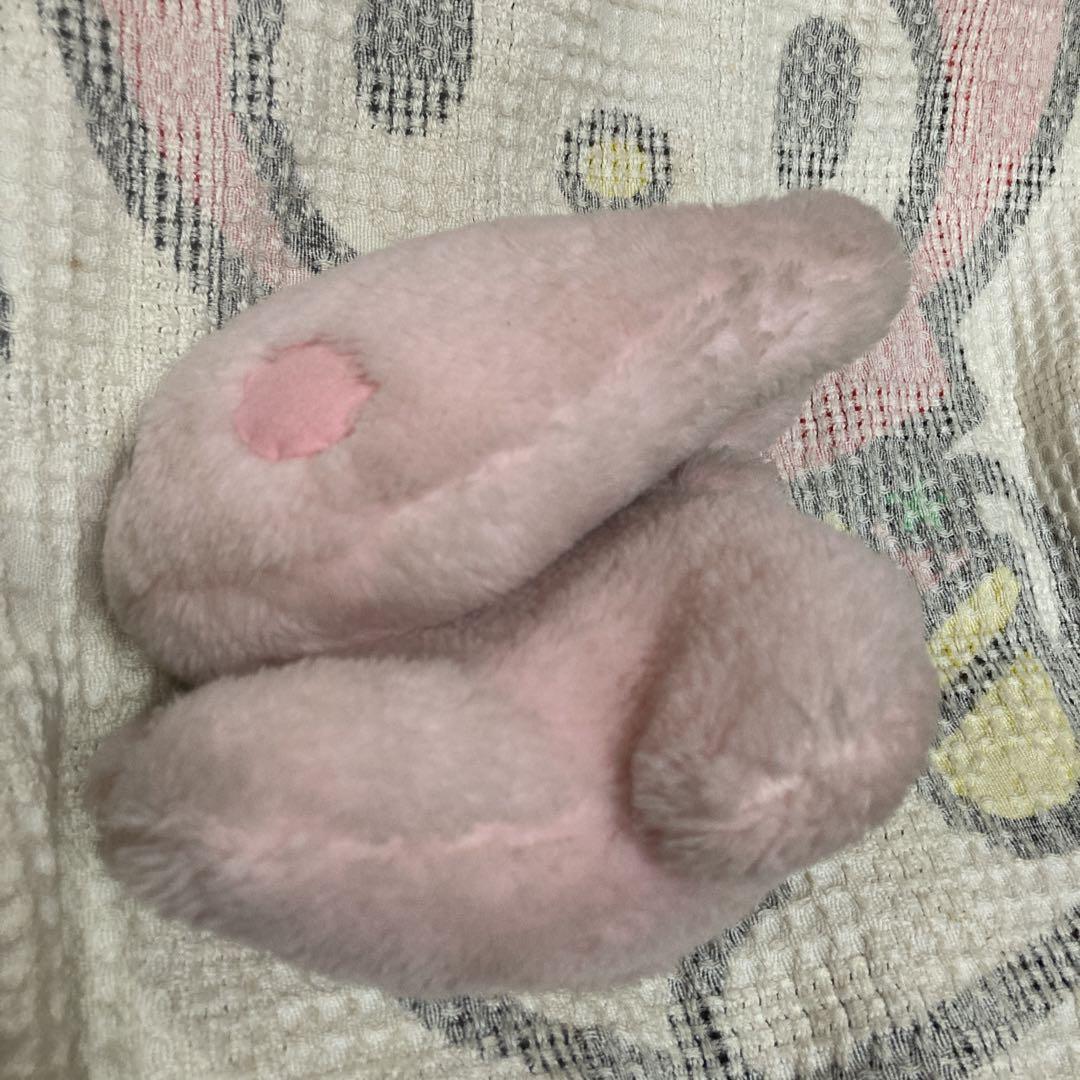 Lonely Little Fox YOUNG KOKUYO ウサギ　中古