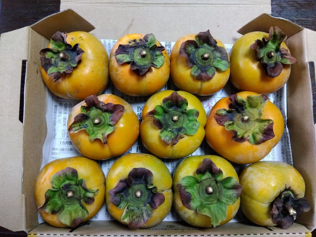 新鮮な柿 次郎柿 約30個以上 5キロ以上 ゆうパック発送 家庭用 治郎柿 新鮮な柿 次郎柿 約30個以上 5キロ以上 ゆうパック発送 家庭用 治郎柿