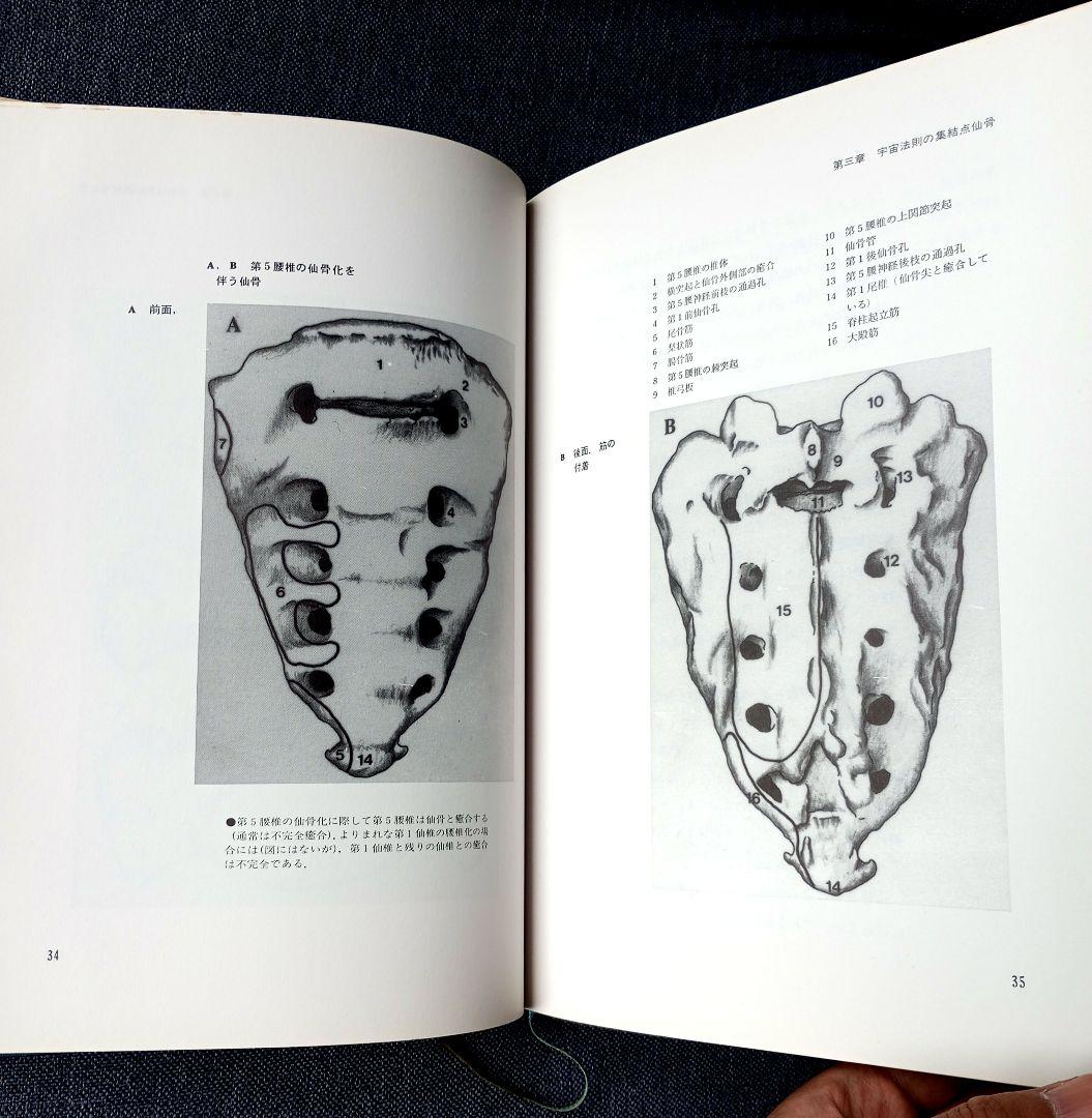 MRT仙骨無痛療法〈初級〉 (1985年) |本 | 通販 | Amazon