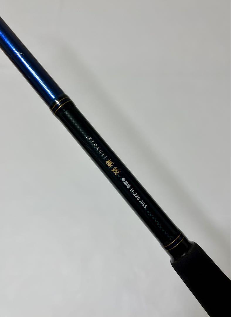 【美品】ダイワ 極鋭 中深場 H-225 AGS