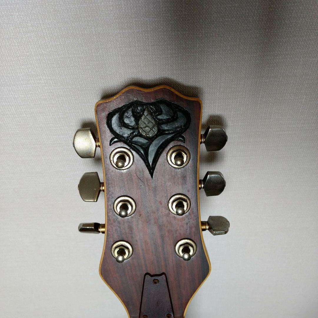 shiraki アーチトップギター アーチバック H5hzd-m62569499183 透かし彫りギター 逆輸入品 代引不可