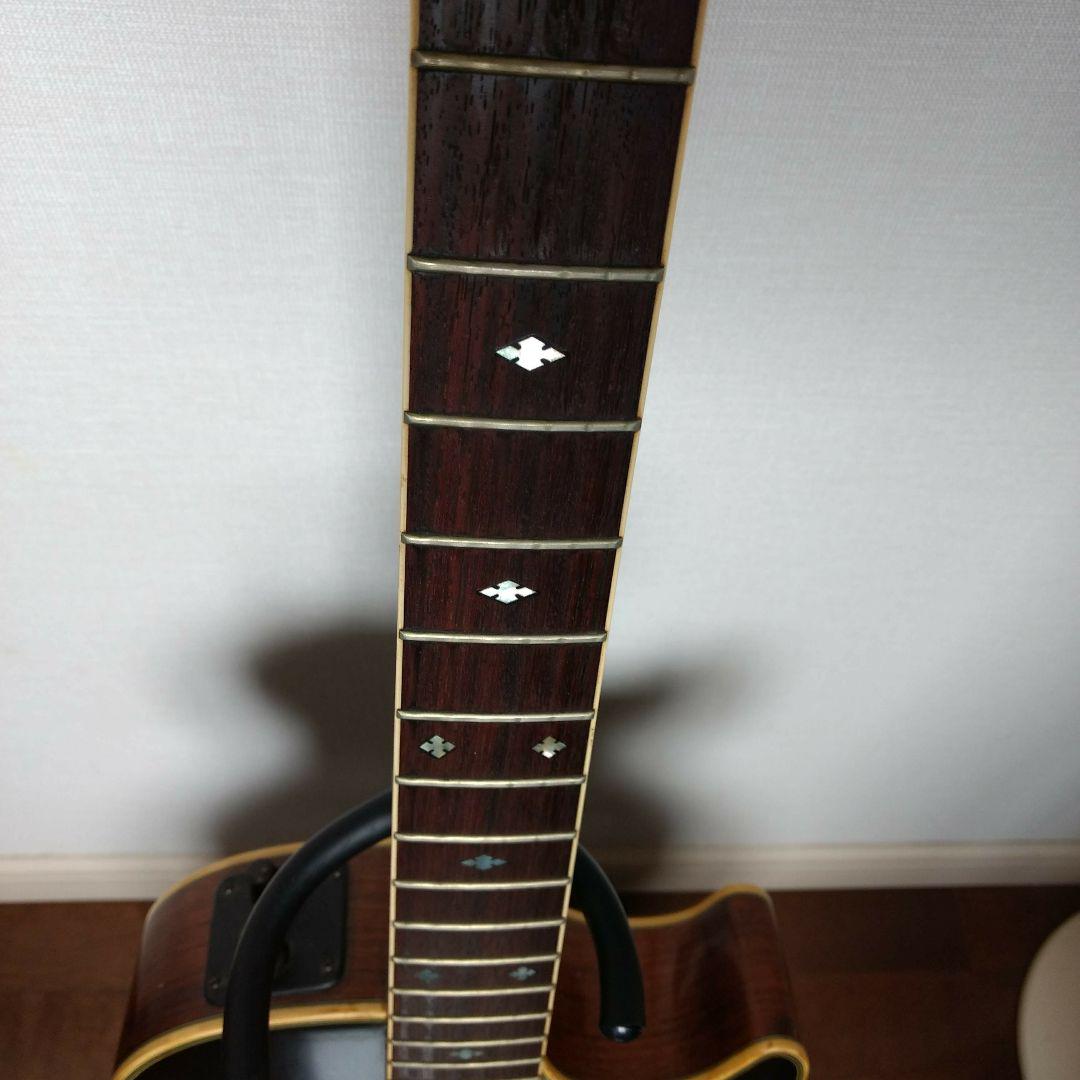shiraki アーチトップギター アーチバック H5hzd-m62569499183 透かし彫りギター 逆輸入品 代引不可
