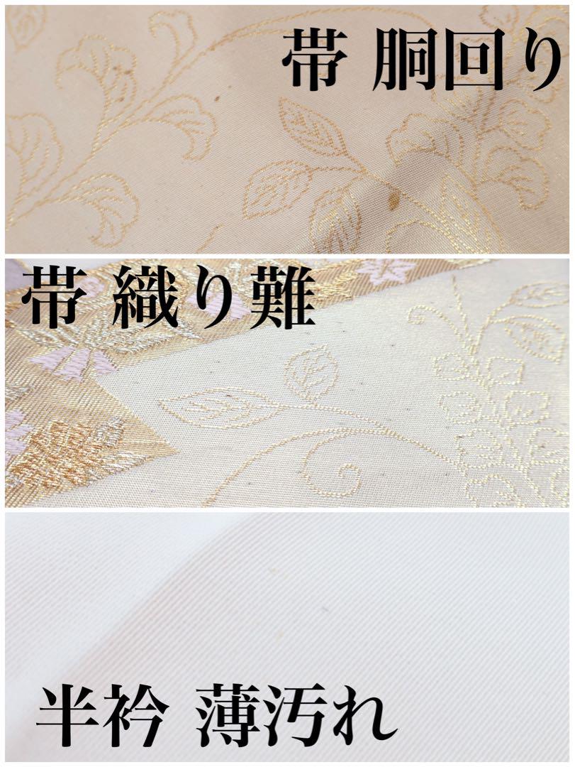 振袖セット 薄紫に四季草花