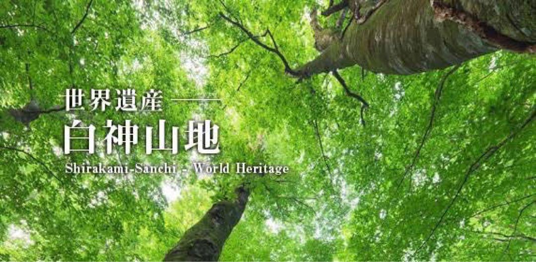 新米 農家直送 秋田県産 令和6年 あきたこまち 10kg 特別栽培米