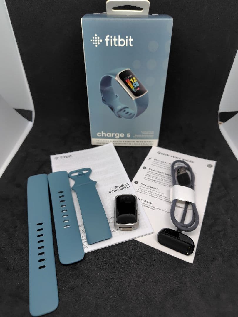 Fitbit Charge 5 スチール ブルー-プラチナ