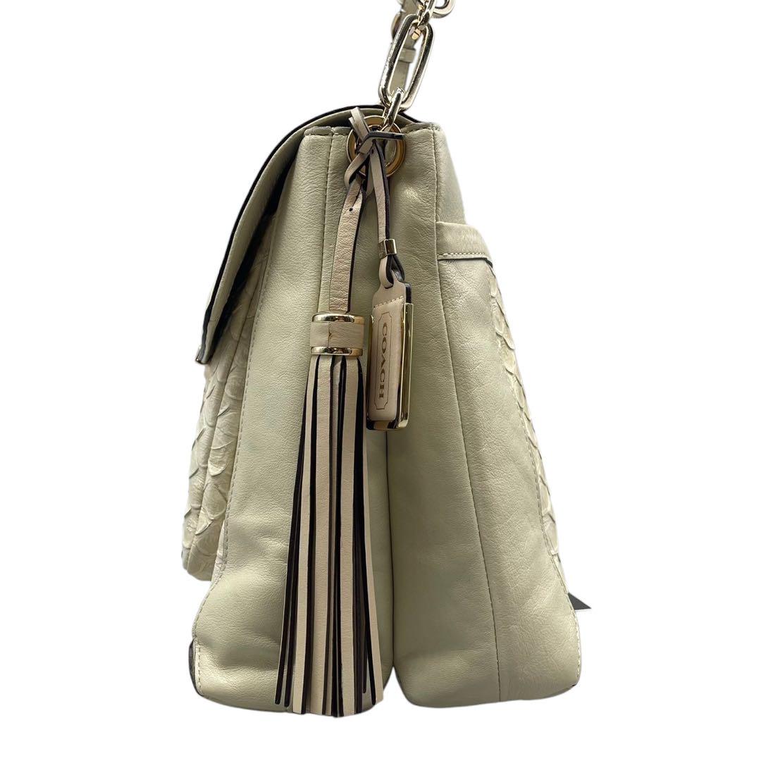 COACH ハンドバッグ 28221 パイソン ターンロック レザー - メルカリ