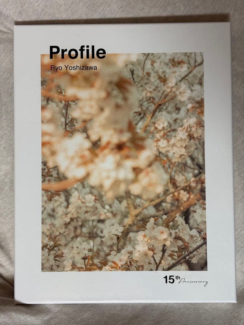 吉沢亮 写真集 profile DVD付