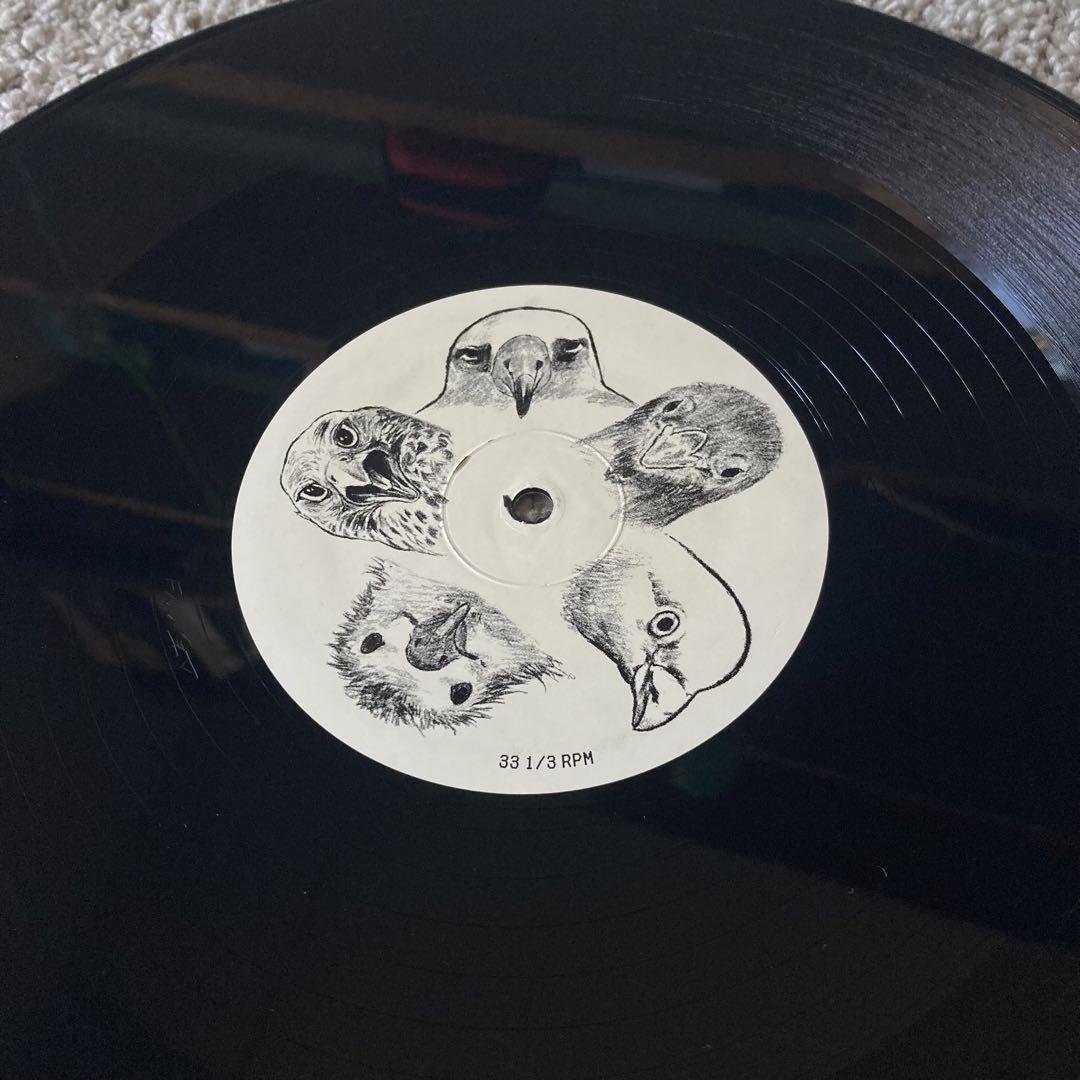 アナログ 2002 NIPPS God Bird 12inch 程度EX
