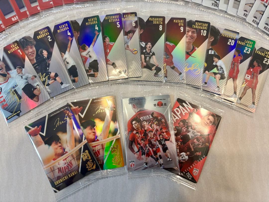 男子バレーボール 日本代表 ツインウエハース 2025 UP786_INFO