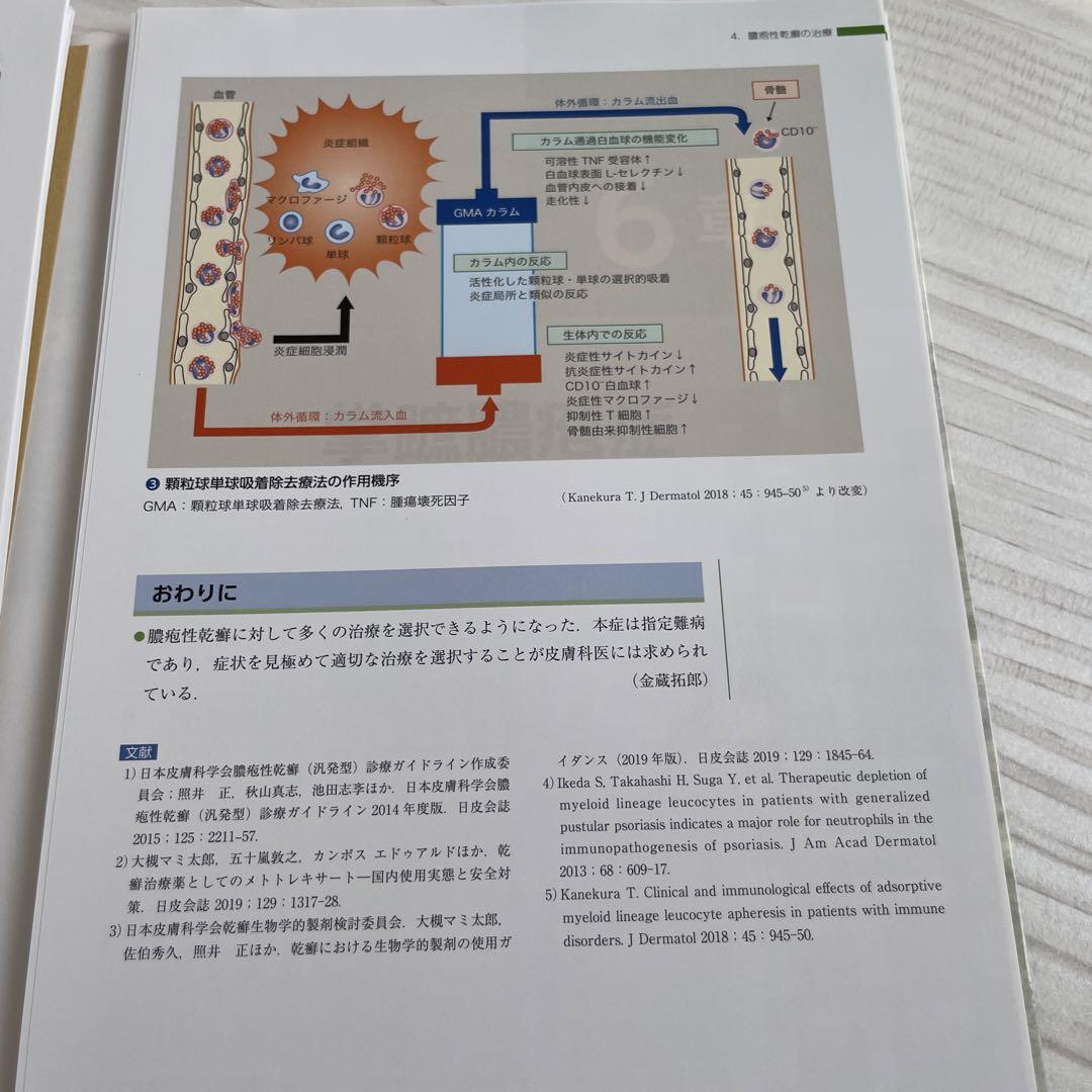 値下げ中！乾癬・掌蹠膿疱症 病態の理解と治療最前線