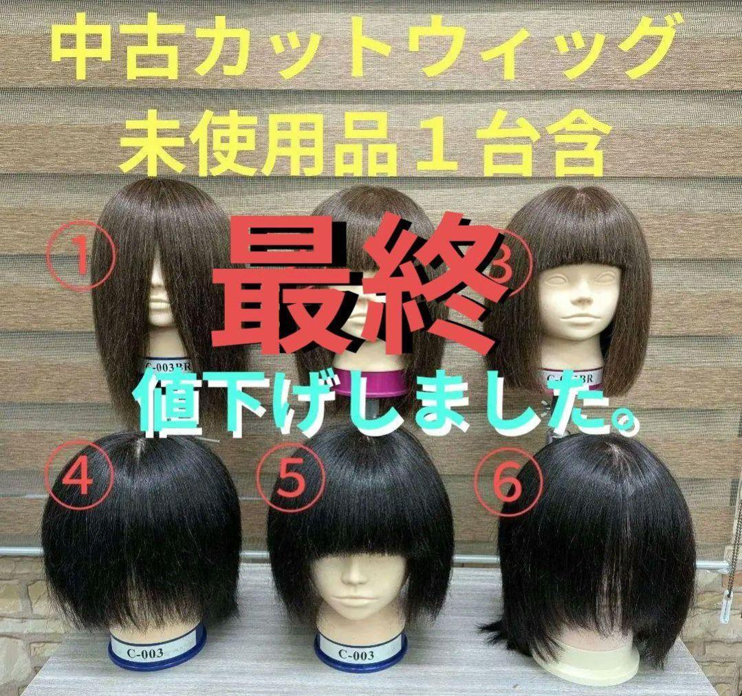 【送料込】中古カットウィッグ＋未使用品１台